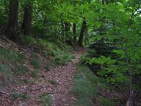 (C) 2007 by G. Doczkal, 
Teil des Schartenberg-Rundwegs, 
Altschweier, Baden-Württemberg, Germany