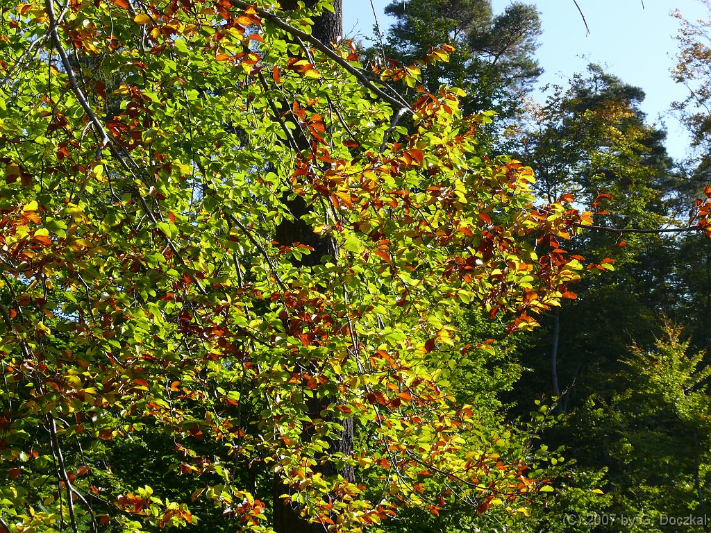 20071006-103632-11