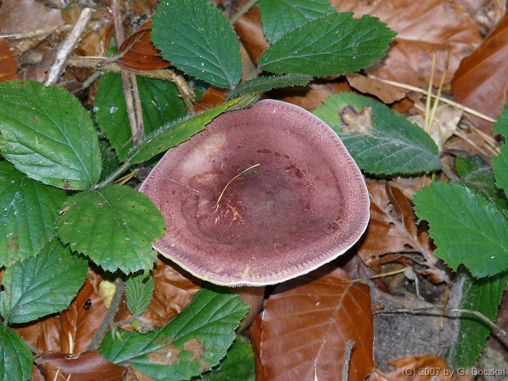 20071006-110513-42