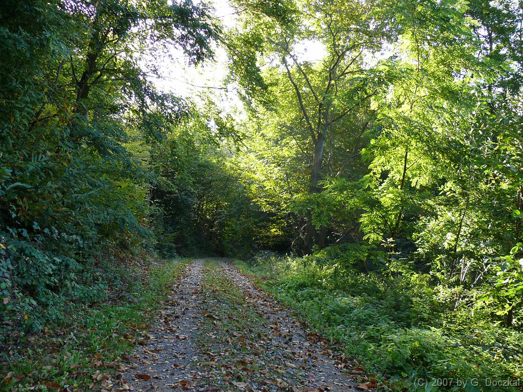 20071006-111648-47