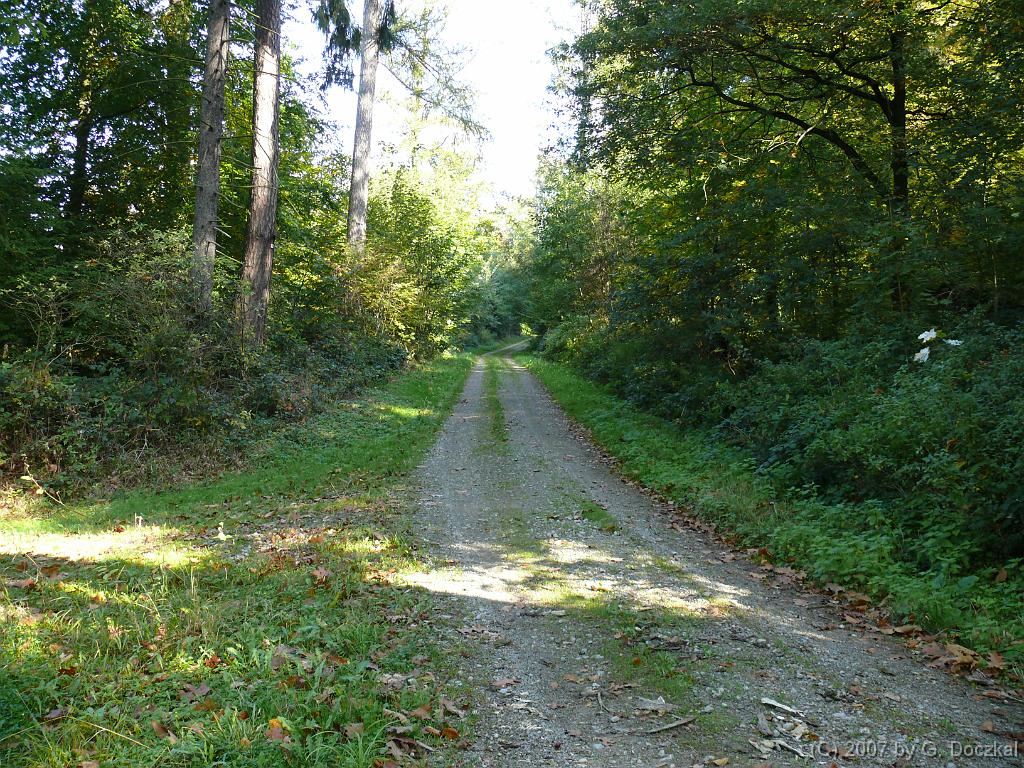 20071006-112151-51