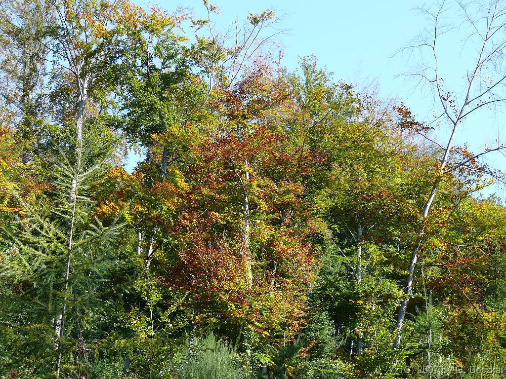 20071006-113536-74