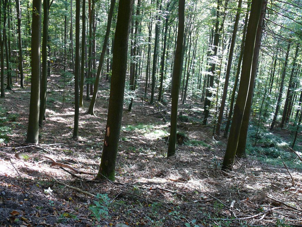 20071006-114839-82