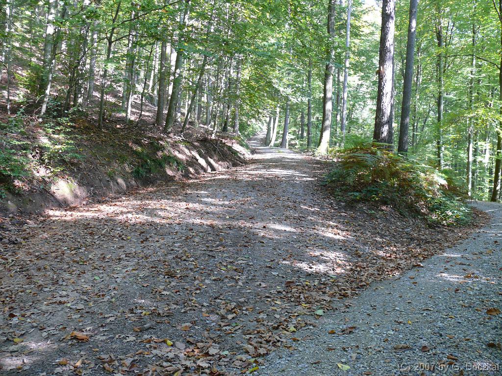 20071006-115839-85