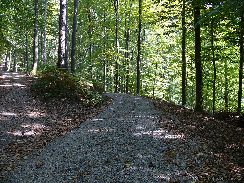20071006-115845-86