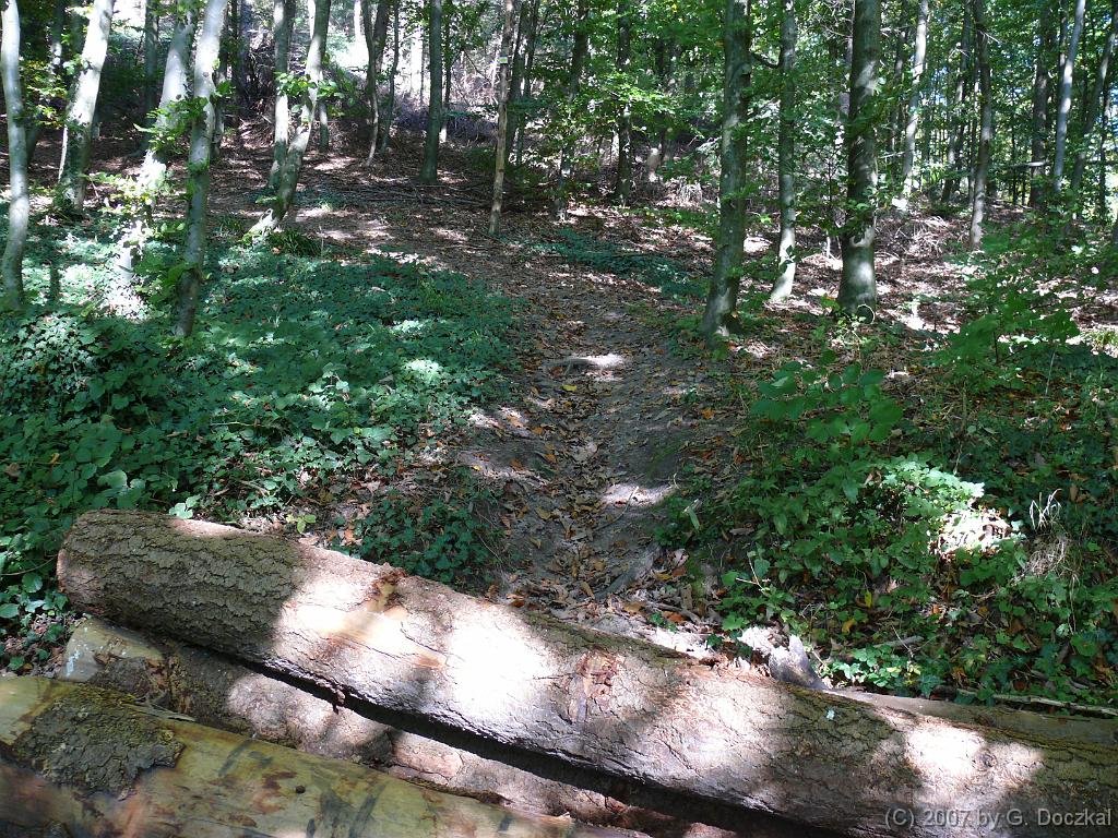 20071006-120623-88