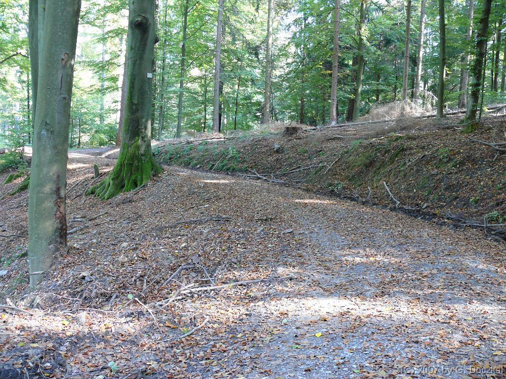 20071006-121734-102