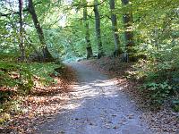  (C) 2007 by G. Doczkal, 
Waldweg, 
Eichelberg bei Waldprechtsweier, Baden-Württemberg, Germany