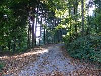  (C) 2007 by G. Doczkal, 
Waldweg, 
Eichelberg bei Waldprechtsweier, Baden-Württemberg, Germany