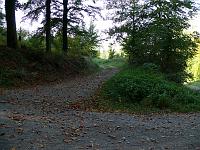  (C) 2007 by G. Doczkal, 
Waldweg, 
Eichelberg bei Waldprechtsweier, Baden-Württemberg, Germany