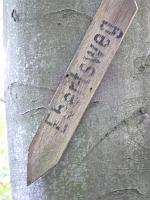  (C) 2007 by G. Doczkal, 
Wegweiser zeigt in die falsche Richtung, 
Eichelberg bei Waldprechtsweier, Baden-Württemberg, Germany