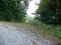  (C) 2007 by G. Doczkal, 
Waldweg, 
Eichelberg bei Winkel, Baden-Württemberg, Germany