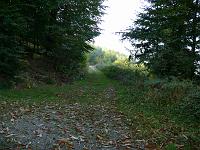  (C) 2007 by G. Doczkal, 
Waldweg, 
Eichelberg bei Winkel, Baden-Württemberg, Germany