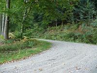  (C) 2007 by G. Doczkal, 
Waldweg, 
Eichelberg bei Winkel, Baden-Württemberg, Germany