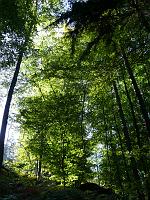  (C) 2007 by G. Doczkal, 
Frühling oder Herbst, 
Eichelberg bei Winkel, Baden-Württemberg, Germany