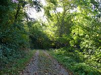  (C) 2007 by G. Doczkal, 
Waldweg, 
Eichelberg bei Winkel, Baden-Württemberg, Germany