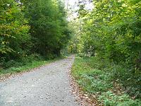  (C) 2007 by G. Doczkal, 
Waldweg, 
Eichelberg bei Winkel, Baden-Württemberg, Germany