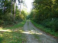  (C) 2007 by G. Doczkal, 
Waldweg, 
Eichelberg bei Winkel, Baden-Württemberg, Germany