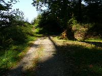  (C) 2007 by G. Doczkal, 
Waldweg, 
Eichelberg bei Winkel, Baden-Württemberg, Germany