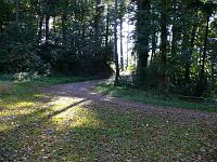  (C) 2007 by G. Doczkal, 
Waldweg, 
Eichelberg bei Winkel, Baden-Württemberg, Germany