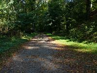  (C) 2007 by G. Doczkal, 
Waldweg, 
Eichelberg bei Winkel, Baden-Württemberg, Germany