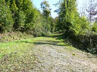 (C) 2007 by G. Doczkal, 
Waldweg, 
Eichelberg bei Winkel, Baden-Württemberg, Germany