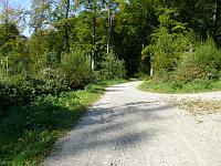  (C) 2007 by G. Doczkal, 
Waldweg, 
Eichelberg bei Winkel, Baden-Württemberg, Germany