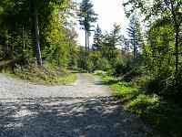  (C) 2007 by G. Doczkal, 
Waldweg, 
Eichelberg bei Winkel, Baden-Württemberg, Germany