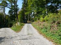 (C) 2007 by G. Doczkal, 
Waldweg, 
Eichelberg bei Winkel, Baden-Württemberg, Germany