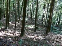  (C) 2007 by G. Doczkal, 
Wald, 
Eichelberg bei Winkel, Baden-Württemberg, Germany
