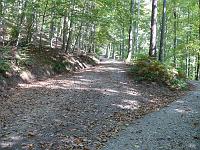  (C) 2007 by G. Doczkal, 
Waldweg, 
Eichelberg bei Michelbach, Baden-Württemberg, Germany