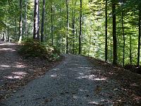  (C) 2007 by G. Doczkal, 
Waldweg, 
Eichelberg bei Michelbach, Baden-Württemberg, Germany