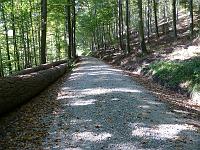  (C) 2007 by G. Doczkal, 
Waldweg, 
Eichelberg bei Michelbach, Baden-Württemberg, Germany