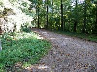  (C) 2007 by G. Doczkal, 
Waldweg, 
Eichelberg bei Michelbach, Baden-Württemberg, Germany