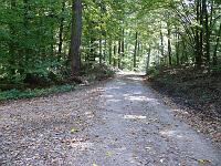  (C) 2007 by G. Doczkal, 
Waldweg, 
Eichelberg bei Michelbach, Baden-Württemberg, Germany