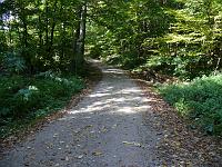  (C) 2007 by G. Doczkal, 
Waldweg, 
Eichelberg bei Michelbach, Baden-Württemberg, Germany