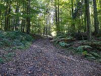  (C) 2007 by G. Doczkal, 
Waldweg, 
Eichelberg bei Freiolsheim, Baden-Württemberg, Germany