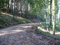  (C) 2007 by G. Doczkal, 
Waldweg, 
Eichelberg bei Freiolsheim, Baden-Württemberg, Germany