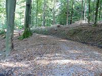  (C) 2007 by G. Doczkal, 
Waldweg, 
Eichelberg bei Freiolsheim, Baden-Württemberg, Germany