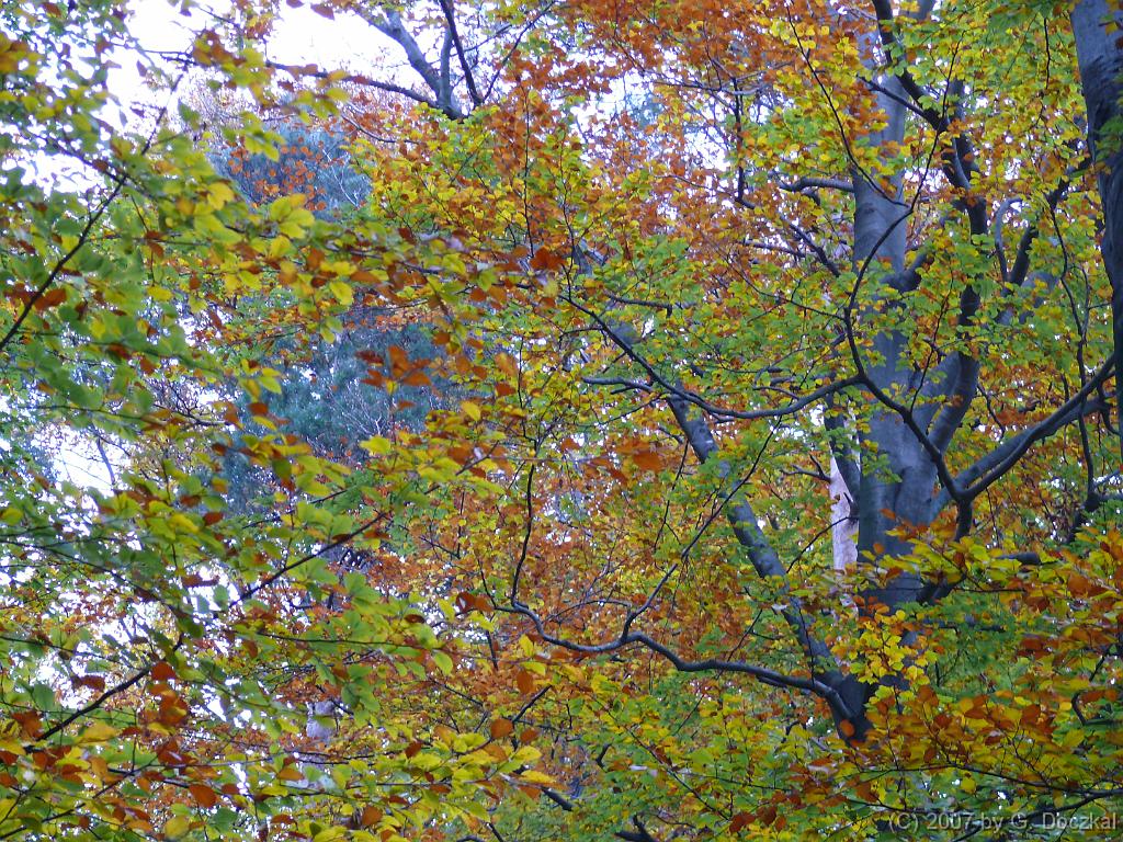 20071027-105117-14