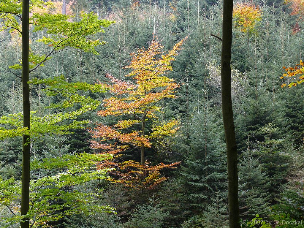 20071027-121546-61