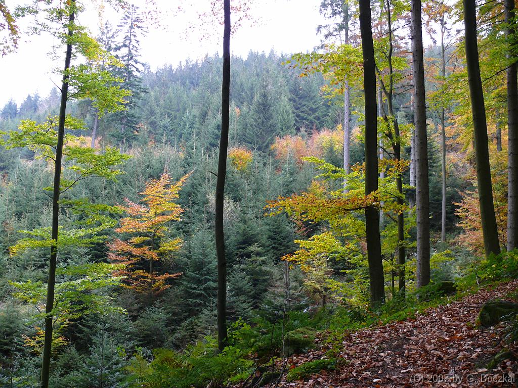 20071027-121554-62