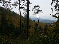  (C) 2007 by G. Doczkal, 
Herbstwald, 
Mahlberg bei Michelbach, Baden-Württemberg, Germany