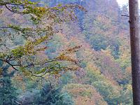  (C) 2007 by G. Doczkal, 
Herbstwald, 
Mahlberg bei Michelbach, Baden-Württemberg, Germany