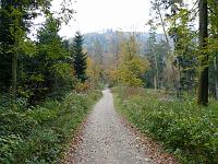  (C) 2007 by G. Doczkal, 
Blick zum Tannschachberg, 
Wasen bei Moosbronn, Baden-Württemberg, Germany