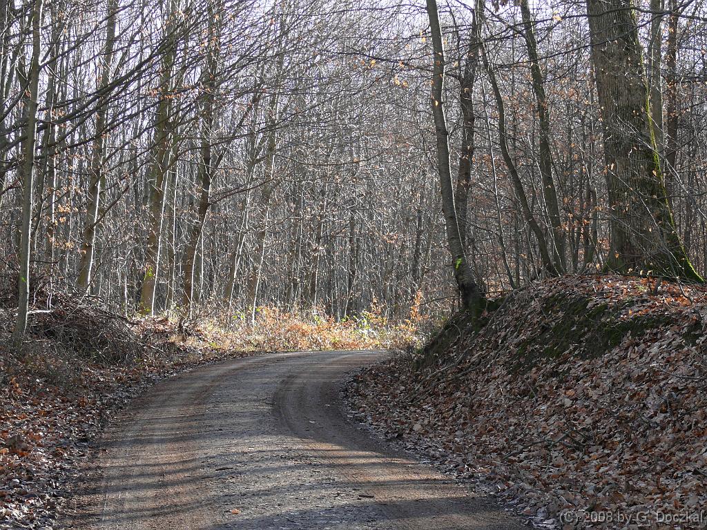 20080123-110102-2