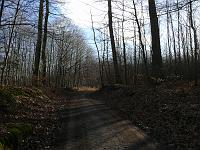  (C) 2008 by G. Doczkal, 
Waldweg, 
Eichelberg bei Waldprechtsweier, Baden-Württemberg, Germany