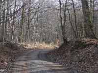  (C) 2008 by G. Doczkal, 
Waldweg, 
Eichelberg bei Waldprechtsweier, Baden-Württemberg, Germany