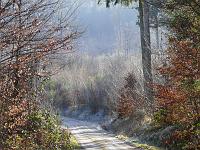  (C) 2008 by G. Doczkal, 
Waldweg, 
Eichelberg bei Waldprechtsweier, Baden-Württemberg, Germany