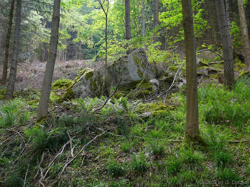 20080527-110737-25
